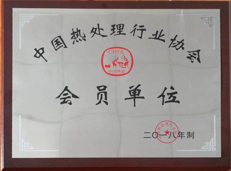 Member of China Heat Treatment Industry Association