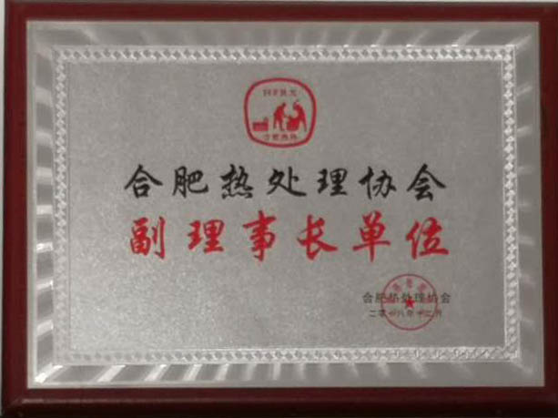 Hefei Heat Treatment Association